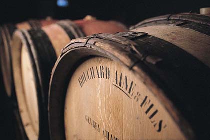 Bouchard Aîné & Fils, Bourgogne  (since 1750)