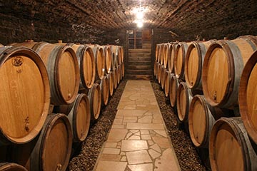 Domaine Michel Prunier et Fille