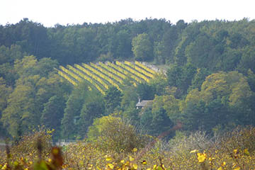 Domaine Bonnardot