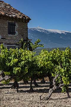 Le souffle du Géant