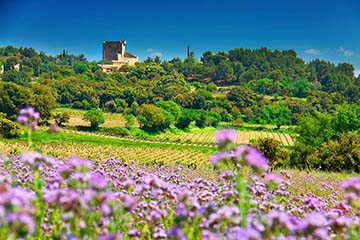 Ogier, Châteauneuf-du-Pape (sinds 1859)