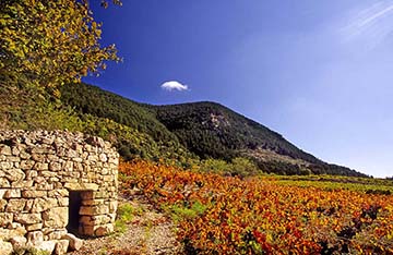 Les Croisières, IGP d'Oc
