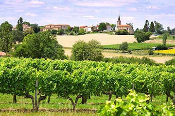 Les Croisières, IGP d'Oc