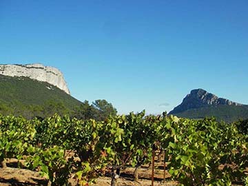 Héritage, Gérard Bertrand