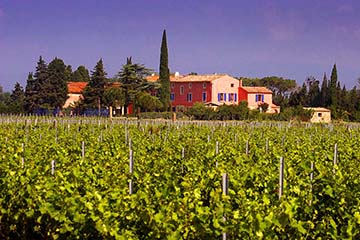 Cigalus, Gérard Bertrand, Biodynamie