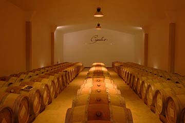 Cigalus, Gérard Bertrand, Biodynamie