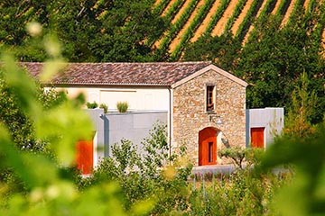 Domaine de l'Aigle, Limoux