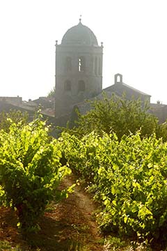 Château Laville Bertrou, Minervois La Livinière