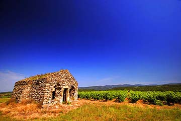 Château Laville Bertrou, Minervois La Livinière