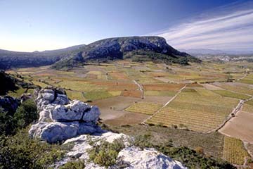 Douceur des Terroirs, Gérard Bertrand