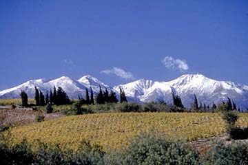 Douceur des Terroirs, Gérard Bertrand