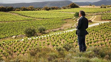 Clos d'Ora, Minervois La Livinière, Biodynamie