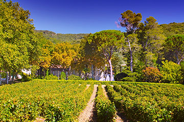 Château la Soujeole, Malpère, Biodynamie