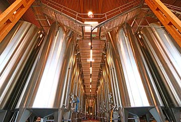 6ème Sens, Gérard Bertrand