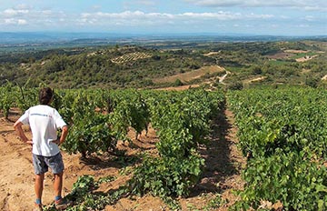 Domaine Combe Blanche