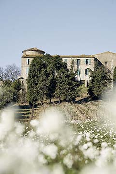 Château Pech-Latt, Corbières