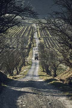 Château Pech-Latt, Corbières