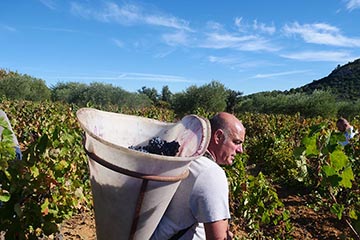 Le Cellier des Demoiselles