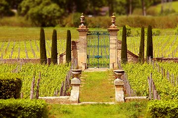 Mas la Chevalière, Laroche