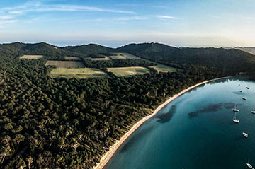 Domaine de L'Ile, Côtes de Provence de l'Ile de Porquerolles