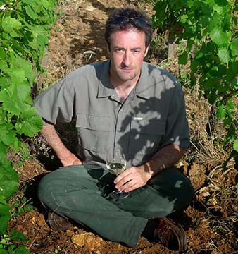 Bouchard-Aîné & Fils, Vins de France