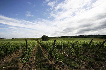 La Tournée, Ferraton Père & Fils