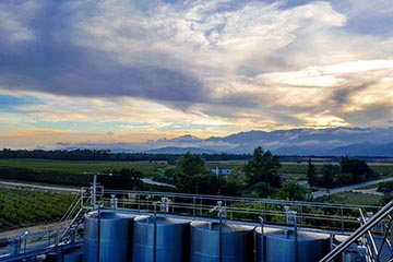 Domaine Terra di Nostri, Vignerons d'Aghione