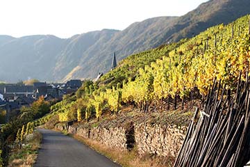 Weingut Dr Renate Willkomm