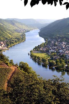 Weingut Dr Renate Willkomm