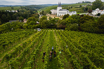 Weingut Crass, Rheingau