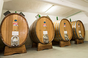 Cantine Volpi, Piemonte