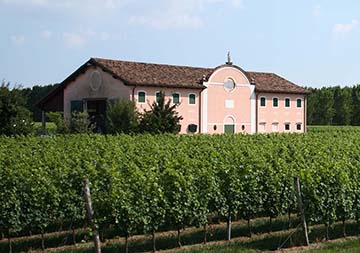 Bosco del Merlo, Veneto