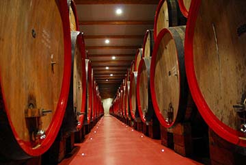 Donelli, Lambrusco (Since 1915)