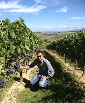 Tenuta Trerose, Vino Nobile di Montepulciano