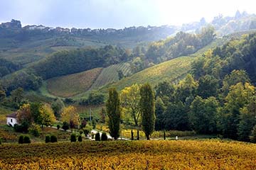 Antica Contada, Abruzzo