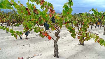 Nuraghe Supramonte, Sardegna
