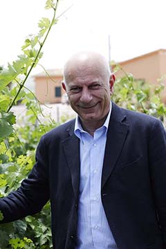 Retablo Feudi di Castellazzo, Sicilia