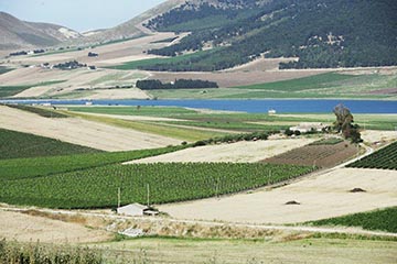 Retablo Feudi di Castellazzo, Sicilia