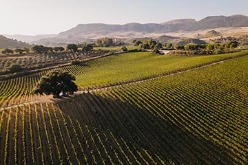 Baglio di Pianetto, Sicilia