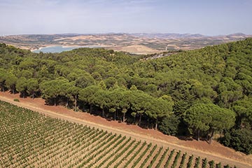 Serra Ferdinandea, Sicilia (Oddo Family)