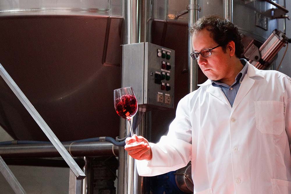 Bodegas Paniza, DO Cariñena