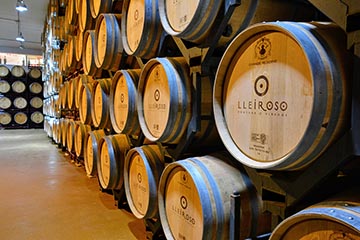 La Bodegas LLeiroso