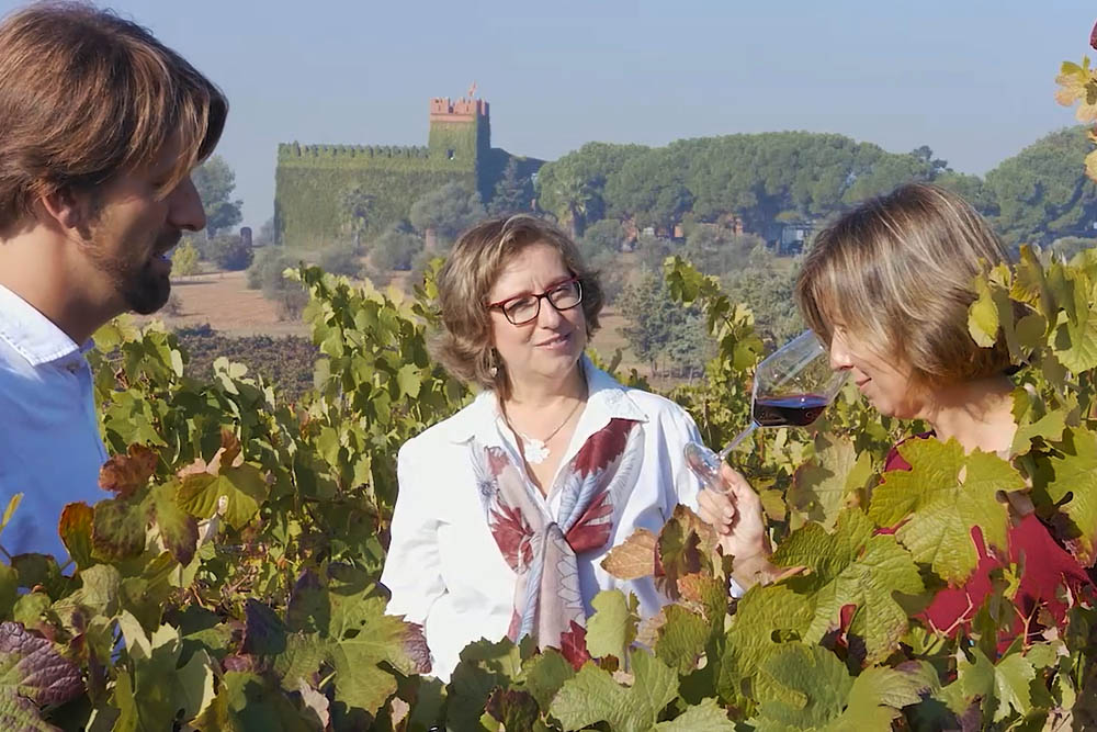 Coloma, Viñedos y Bodegas