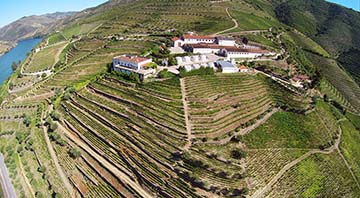 Kopke Group: Porto Barros (Since 1913)