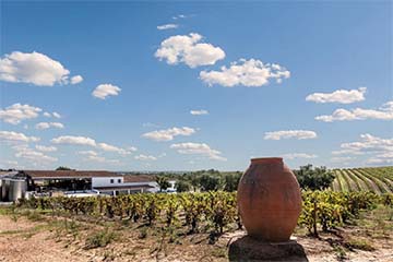 Art Terra van Casa Relvas