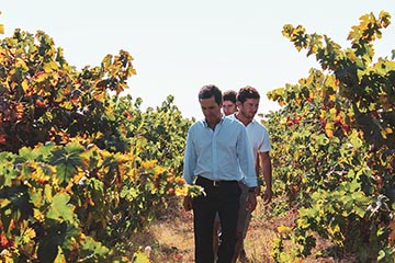 Art Terra van Casa Relvas