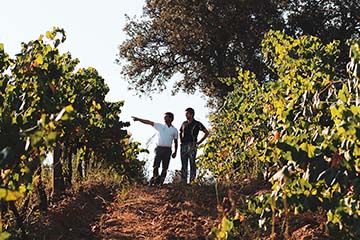 Art Terra van Casa Relvas