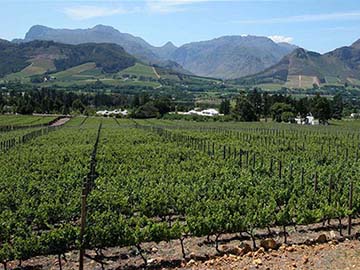 Obikwa, South-Africa