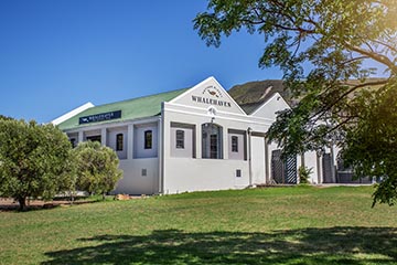 Whalehaven, South-Africa