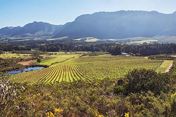 Whalehaven, South-Africa
